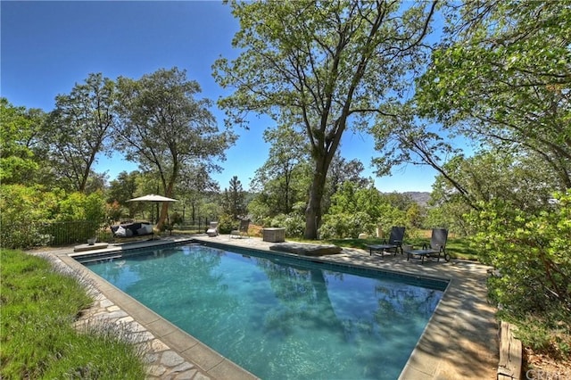 view of pool featuring a patio