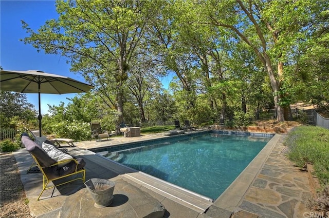 view of pool featuring a patio