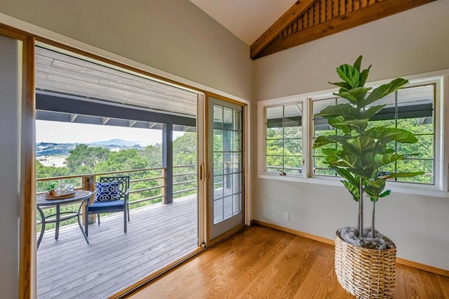 doorway with vaulted ceiling, a wealth of natural light, and light hardwood / wood-style floors