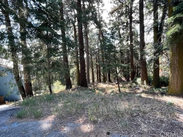 0 Lakeland Vw, Cedarpines Park CA, 92322 land for sale