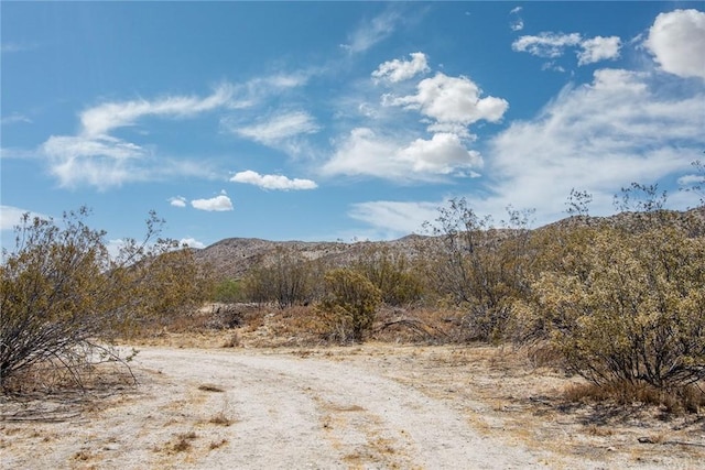 Listing photo 2 for 50253 Twentynine Palms Hwy, Morongo Valley CA 92256