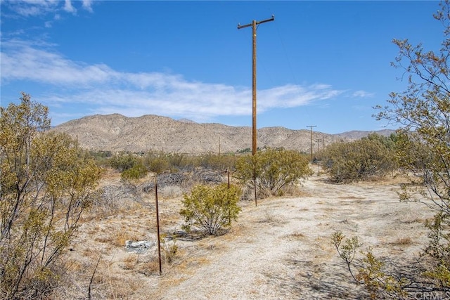 Listing photo 3 for 50253 Twentynine Palms Hwy, Morongo Valley CA 92256