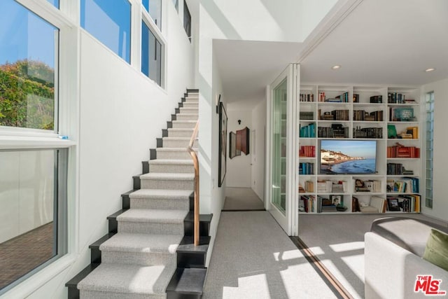 staircase with carpet floors