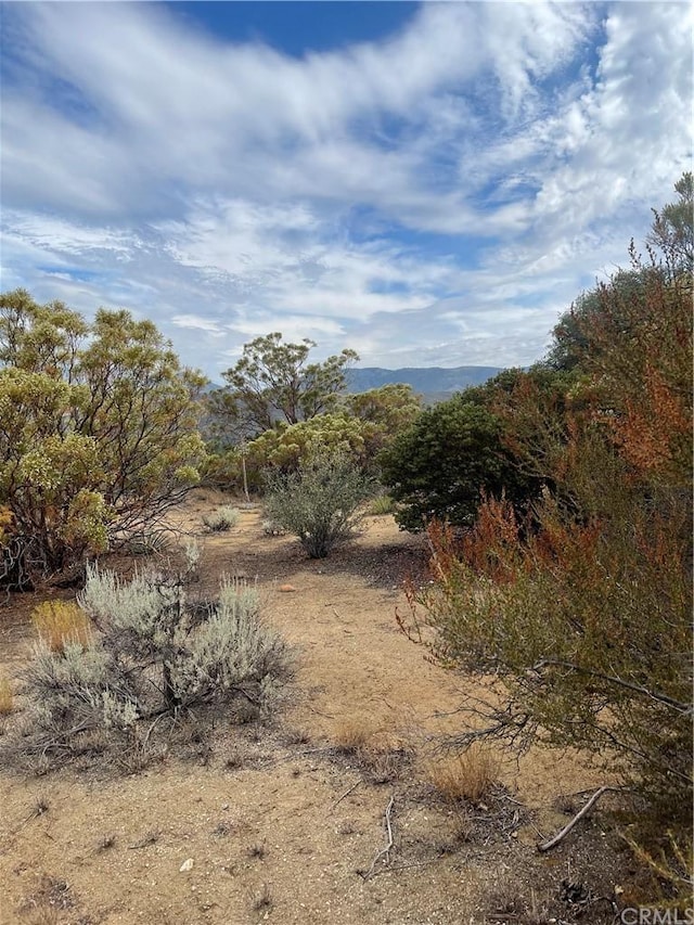 Listing photo 3 for 2 Goldshot Creek Rd, Mountain Center CA 92561