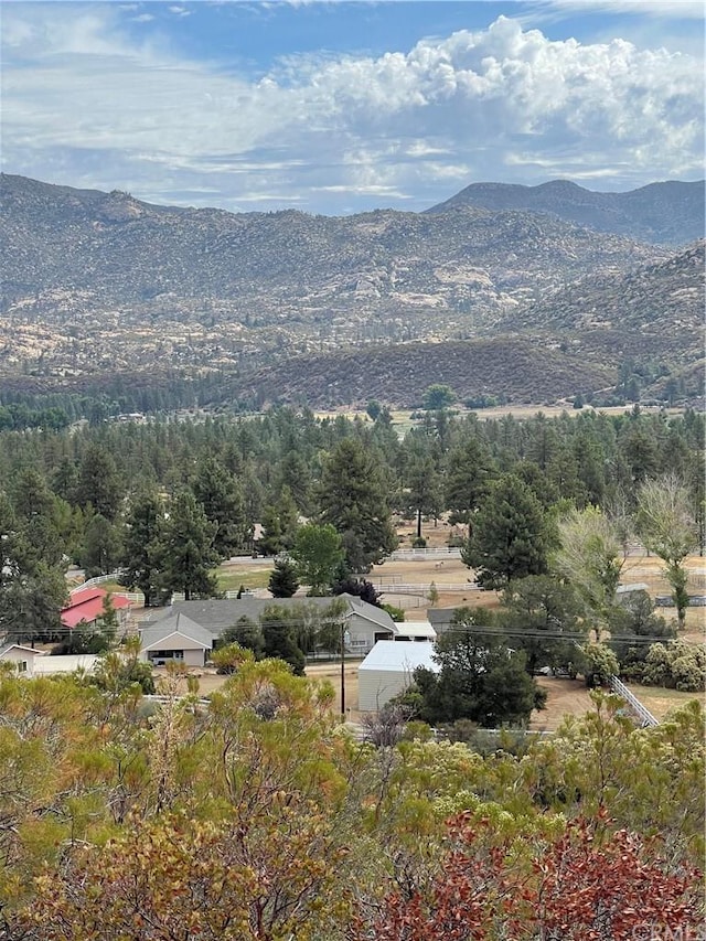 2 Goldshot Creek Rd, Mountain Center CA, 92561 land for sale