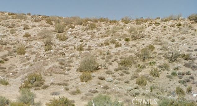 Address Not Disclosed, Pinon Hills CA, 92371 land for sale