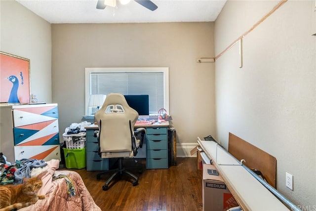 office featuring ceiling fan and dark hardwood / wood-style flooring