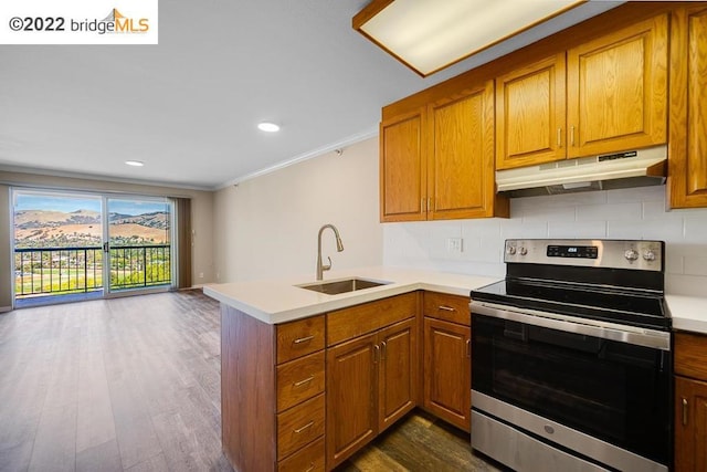 kitchen with dark hardwood / wood-style flooring, kitchen peninsula, sink, and stainless steel electric range