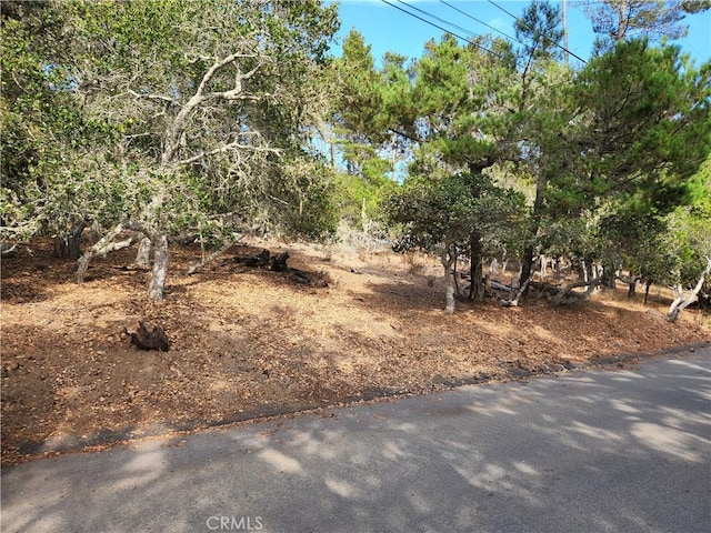 Listing photo 2 for 0 Norwich Ave, Cambria CA 93428