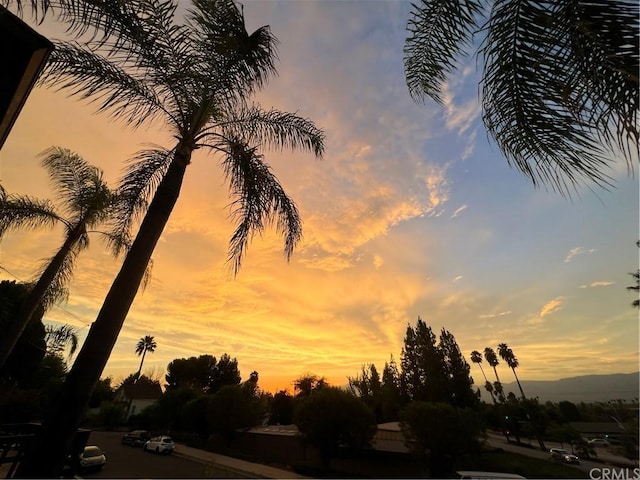 view of nature at dusk