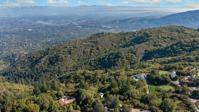 view of mountain feature