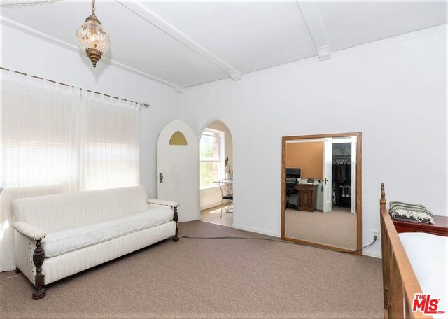 living room with carpet flooring