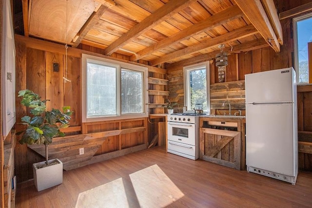 kitchen featuring wood walls, white appliances, light hardwood / wood-style flooring, and plenty of natural light