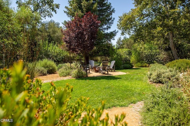 view of yard with a patio