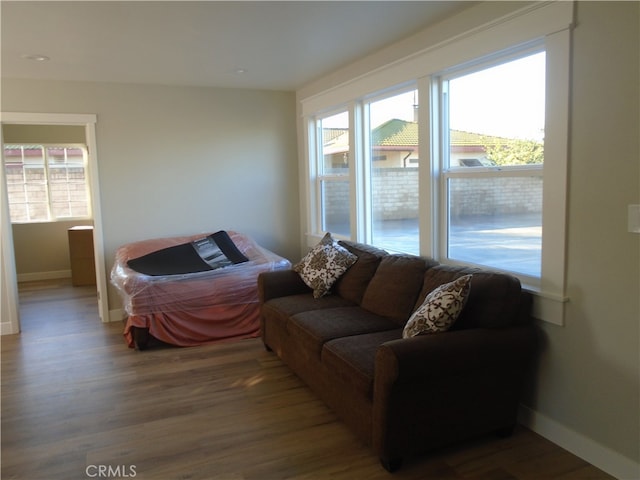 living room featuring plenty of natural light and hardwood / wood-style flooring