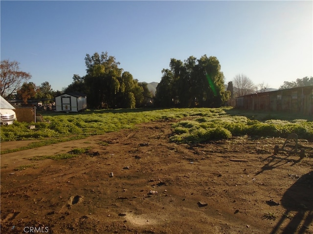 view of yard featuring a storage unit