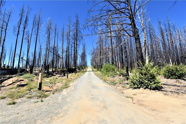 0 Bald Rock Rd, Berry Creek, CA 95916 - photo 15