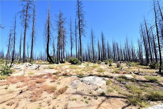 0 Bald Rock Rd, Berry Creek, CA 95916 - photo 14