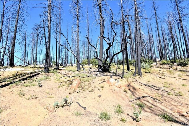 0 Bald Rock Rd, Berry Creek, CA 95916 - photo 12