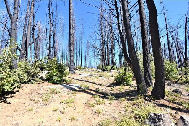 0 Bald Rock Rd, Berry Creek, CA 95916 - photo 13