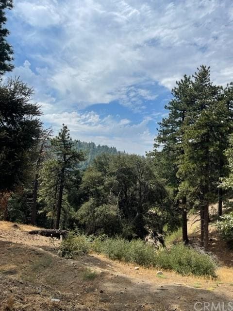 0 Cochran Rd, Cedarpines Park CA, 92391 land for sale