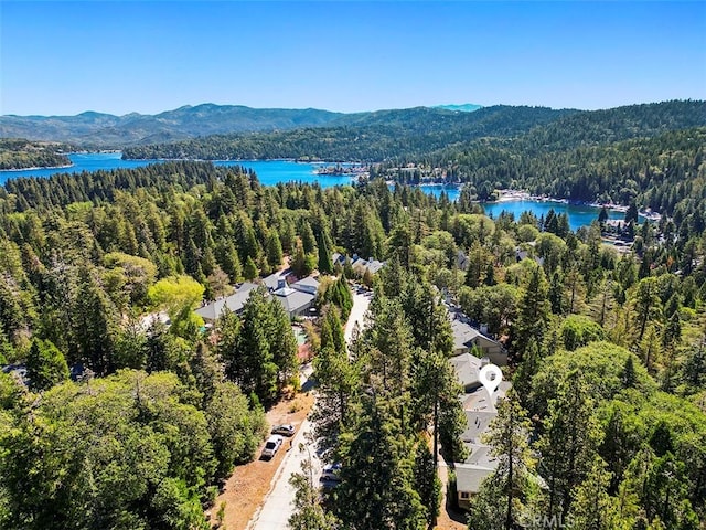 birds eye view of property featuring a water and mountain view