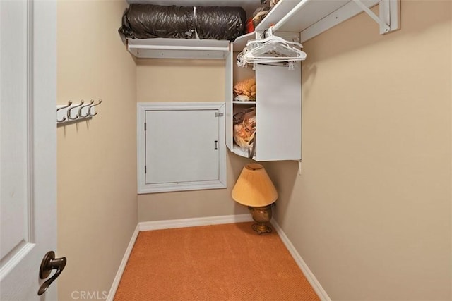 spacious closet featuring carpet floors