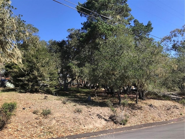 0 Saint James Rd, Cambria CA, 93428 land for sale