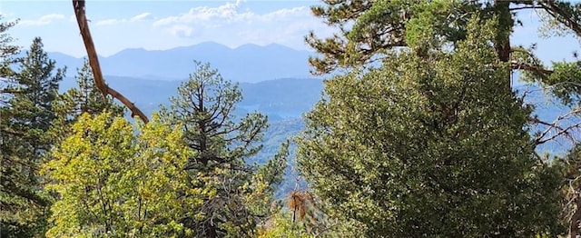 0 Trails End Rd, Green Valley Lake, CA 92341