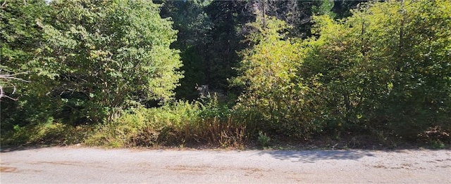 Listing photo 3 for 0 Maple Rd, Lake Arrowhead CA 92385