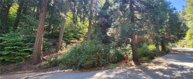 0 Maple Rd, Lake Arrowhead CA, 92385 land for sale