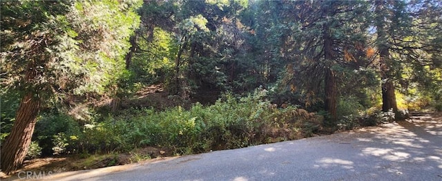 Listing photo 2 for 0 Maple Rd, Lake Arrowhead CA 92385