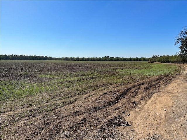 view of mother earth's splendor featuring a rural view