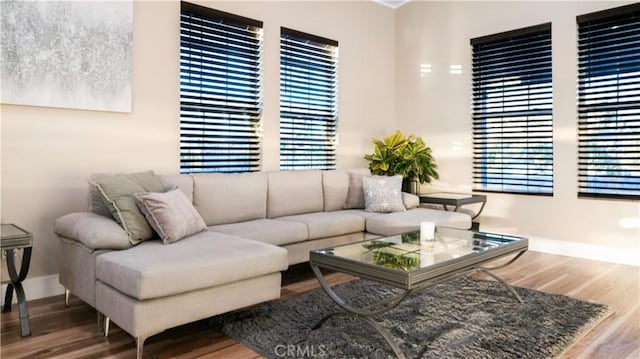 living room featuring hardwood / wood-style floors