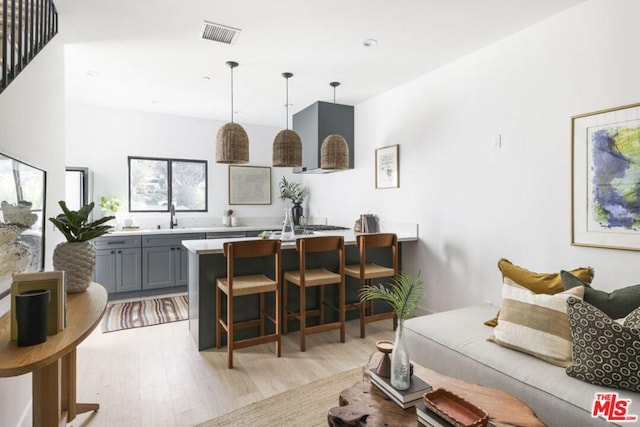 living room with light hardwood / wood-style floors and sink