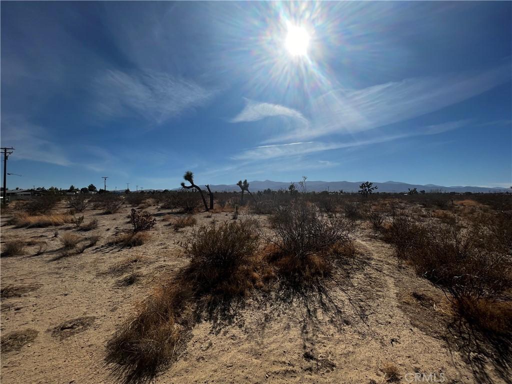 0 Ailanthus St, Phelan, CA 92371 - photo 2