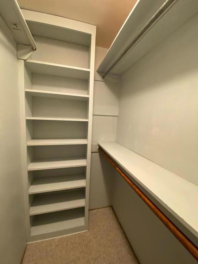 spacious closet featuring light colored carpet