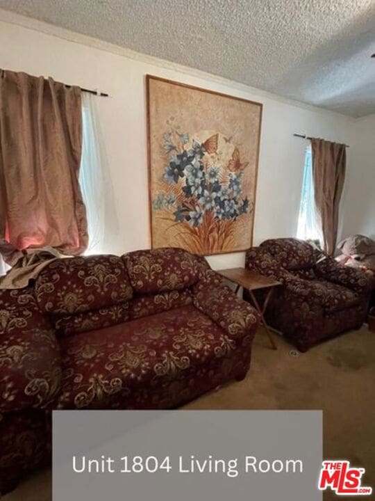 living room with a textured ceiling and carpet floors