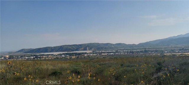 Listing photo 3 for 0 Meyers, Devore CA 92407