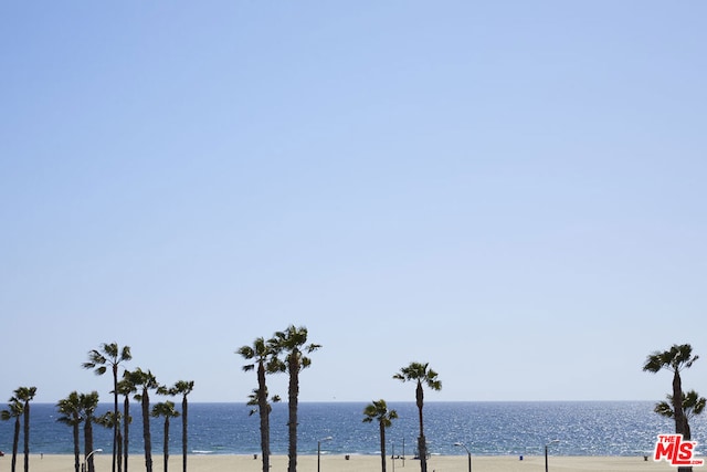 water view featuring a view of the beach