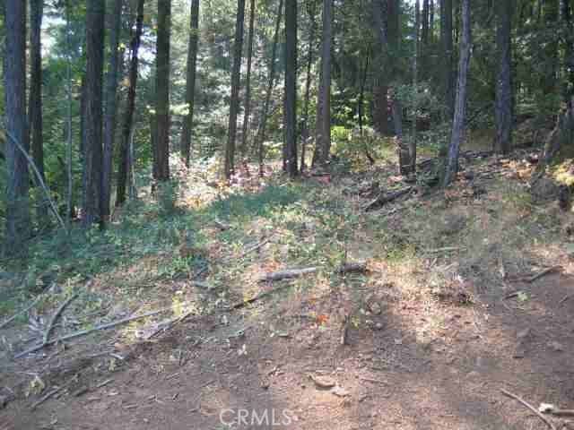 0 He Le Ve Rd, Berry Creek CA, 95916 land for sale