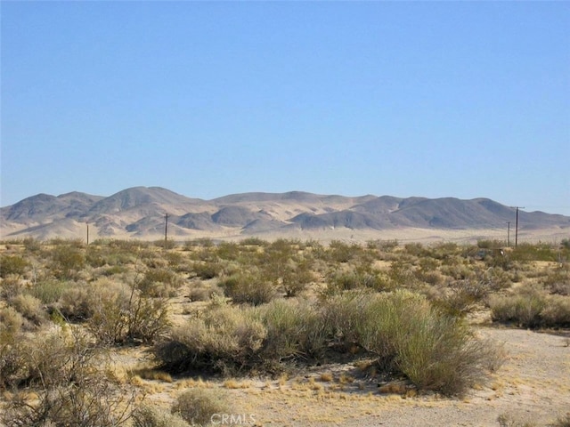 34790 Troy Rd, Newberry Springs CA, 92365 land for sale