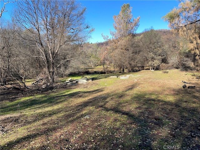 705 Triangle Rd, Mariposa CA, 95338 land for sale