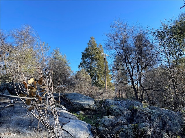 Listing photo 3 for 705 Triangle Rd, Mariposa CA 95338