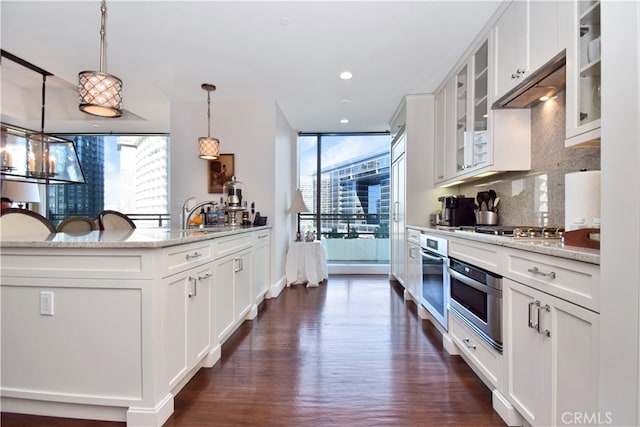 kitchen with white cabinets, plenty of natural light, dark hardwood / wood-style floors, and stainless steel appliances