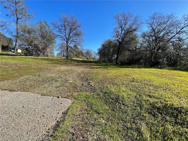 0 Olive, Oroville CA, 95966 land for sale