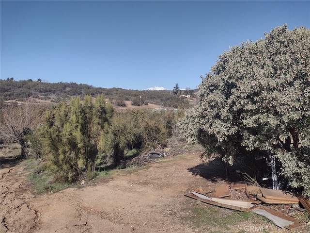 Listing photo 3 for 37400 Tripp Flat Rd, Anza CA 92539