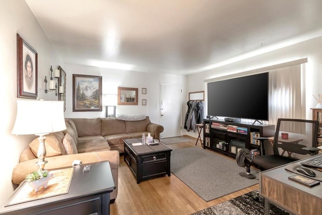 living room with light hardwood / wood-style floors