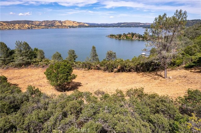 Listing photo 3 for 11390 Point Lakeview Rd, Kelseyville CA 95451