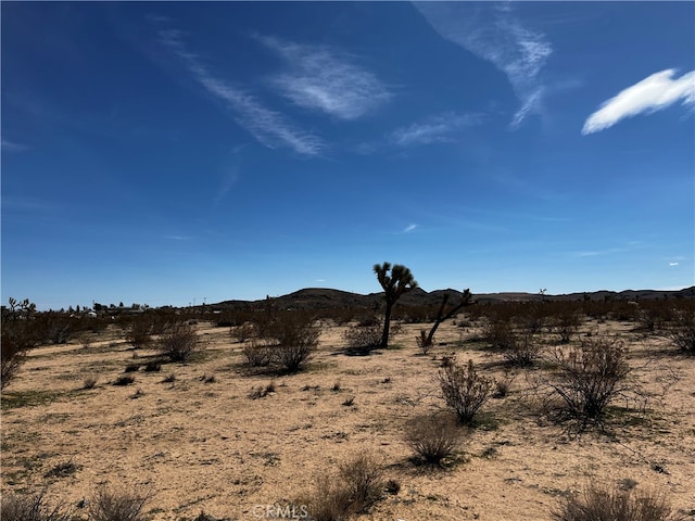 175 Rainbow Rd, Landers CA, 92285 land for sale